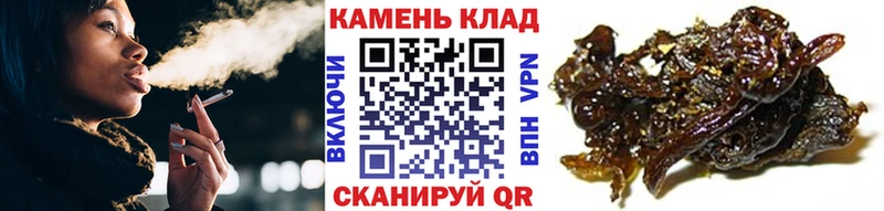 Гашиш Cannabis  что такое наркотик  Михайловка 