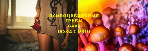 меф Кинешма