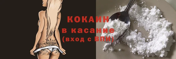 сатива Кодинск