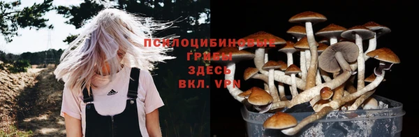 шишки Костерёво