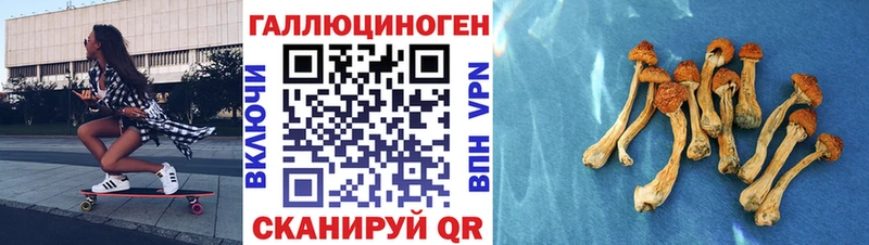 Псилоцибиновые грибы Magic Shrooms Михайловка